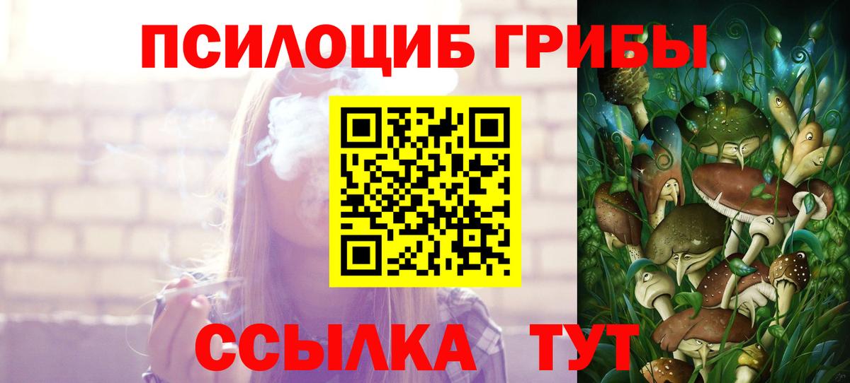 Шахты  Галлюциногенные грибы ЛСД  закладка  Вход с VPN  Псилоцибиновые грибы GOLDEN TEACHER 