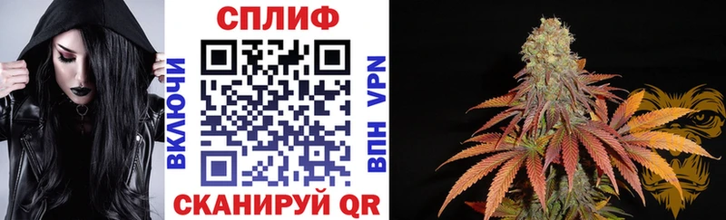 Бошки марихуана индика  мориарти официальный сайт  Шахты 